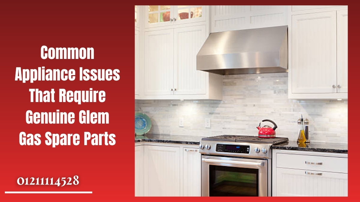 Common Appliance Issues That Require Genuine Glem Gas Spare Parts